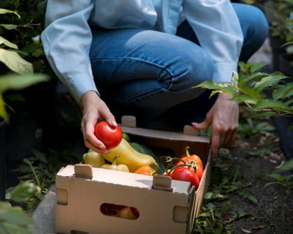 Agriculture & Sustainability